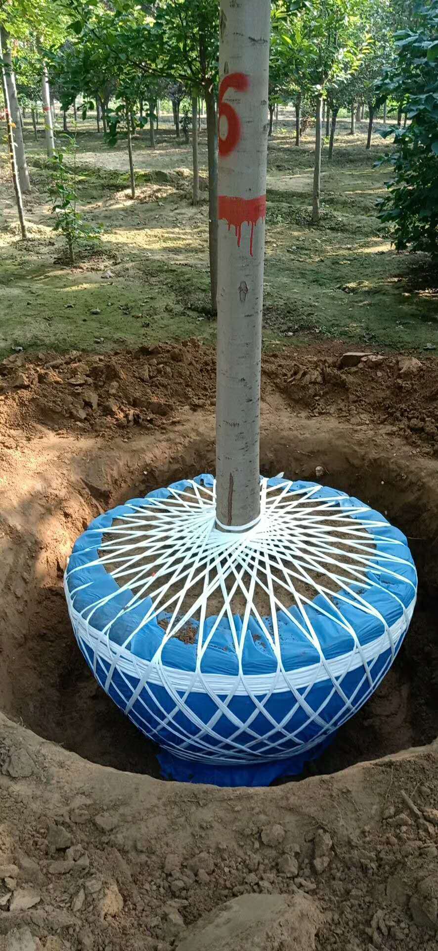 代替草繩的無紡布繩 代替草繩的無紡布繩