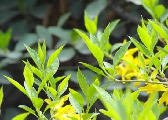 1635564781974169.jpg 1635564781974169.jpg