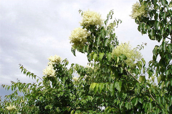 1686315647928397.jpg 7a0dab007c54e648240bb194aa482544_1686315033963201.jpg