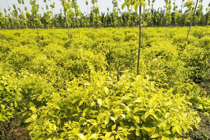 1686320734525016.jpg a2c24653a5e73f3a88ef2f2a8eb224b9_1686316112503314.jpg