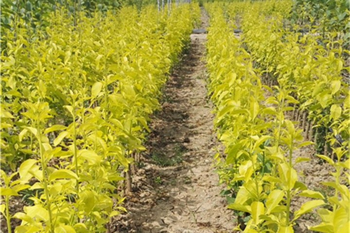 1686320742693035.jpg 6d834c513c252954171e8acebfc5b298_1686316129131959.jpg