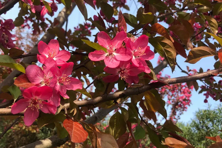 1686321908514094.jpg 1212.jpg