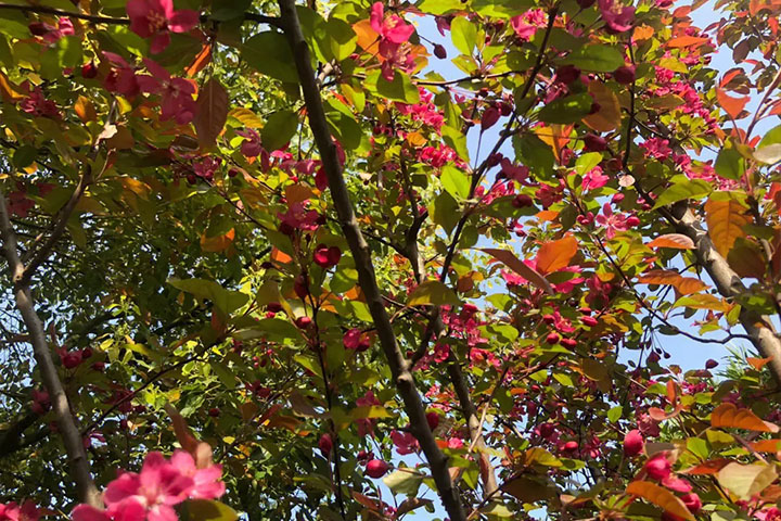 1686321919788461.jpg 1214.jpg