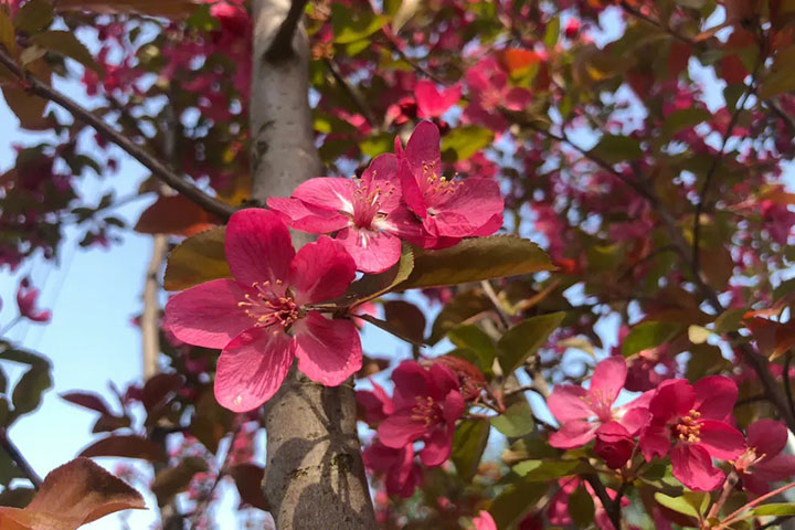 1686321936327214.jpg 12121.jpg