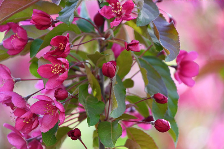 1686321948154807.jpg 121245.jpg