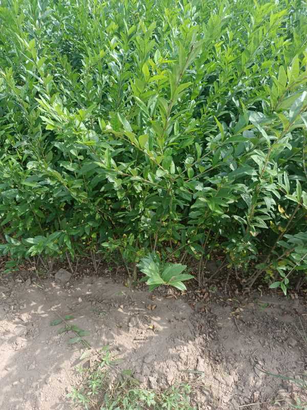 1730442902341267.jpg IMG_20220917_114821.jpg