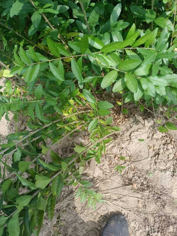 1730443816546099.jpg IMG_20220917_114744.jpg