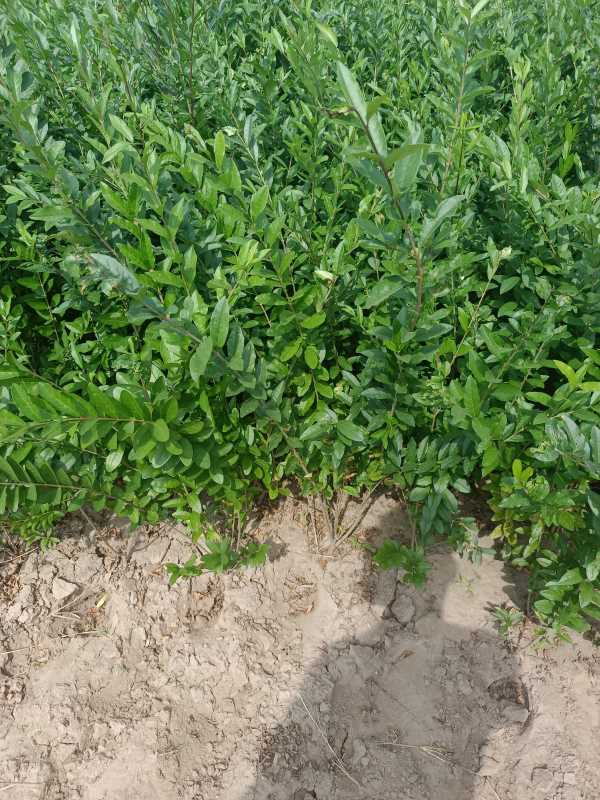 1730444459939990.jpg IMG_20220917_114720.jpg