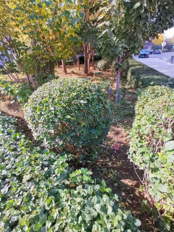 1730446476705437.jpg IMG_20231108_105440.jpg