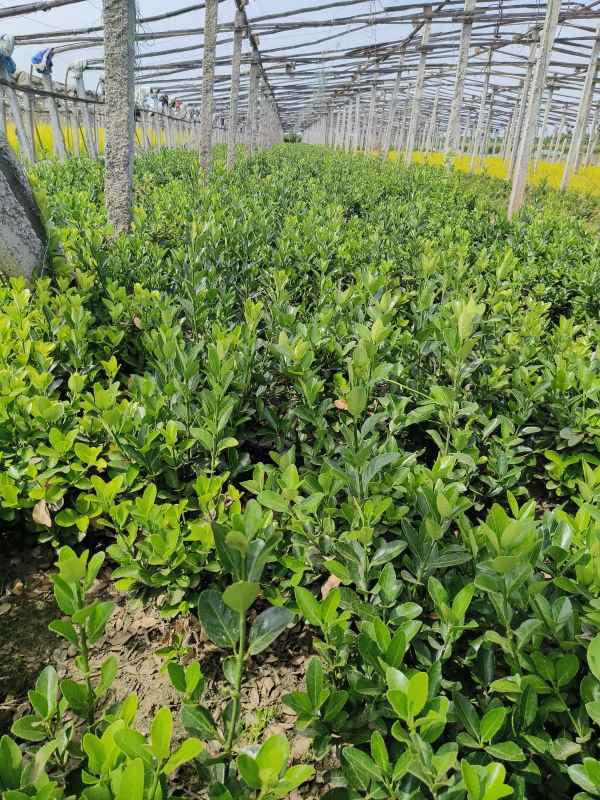 1730699823715072.jpg IMG_20230523_142635.jpg