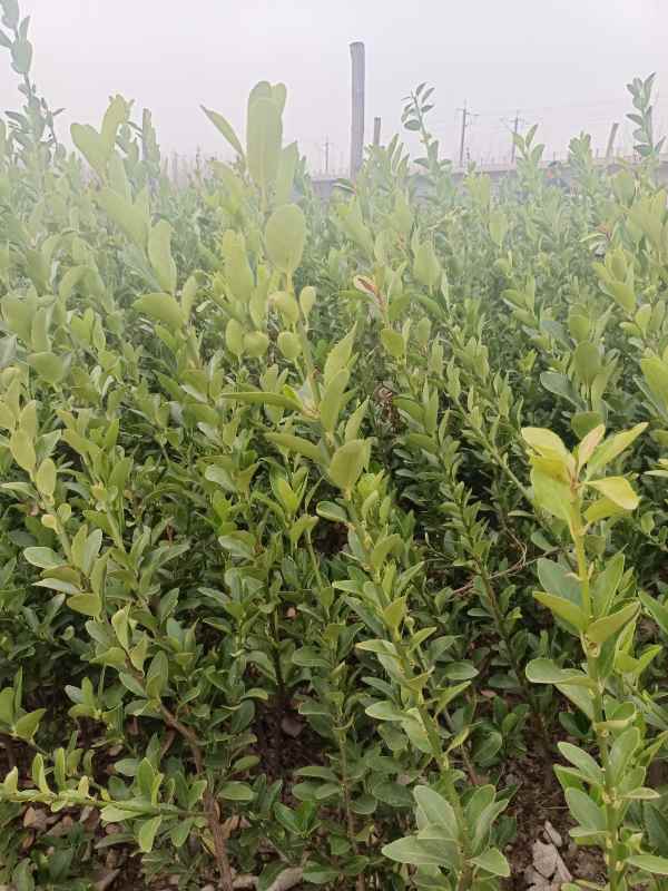 1730701157791759.jpg IMG_20220228_125555.jpg