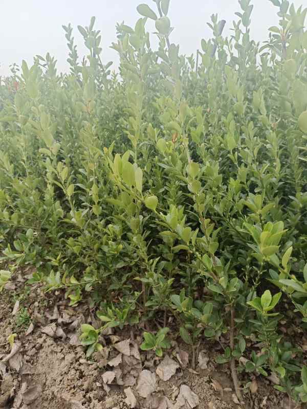 1730701456894376.jpg IMG_20220228_125552.jpg