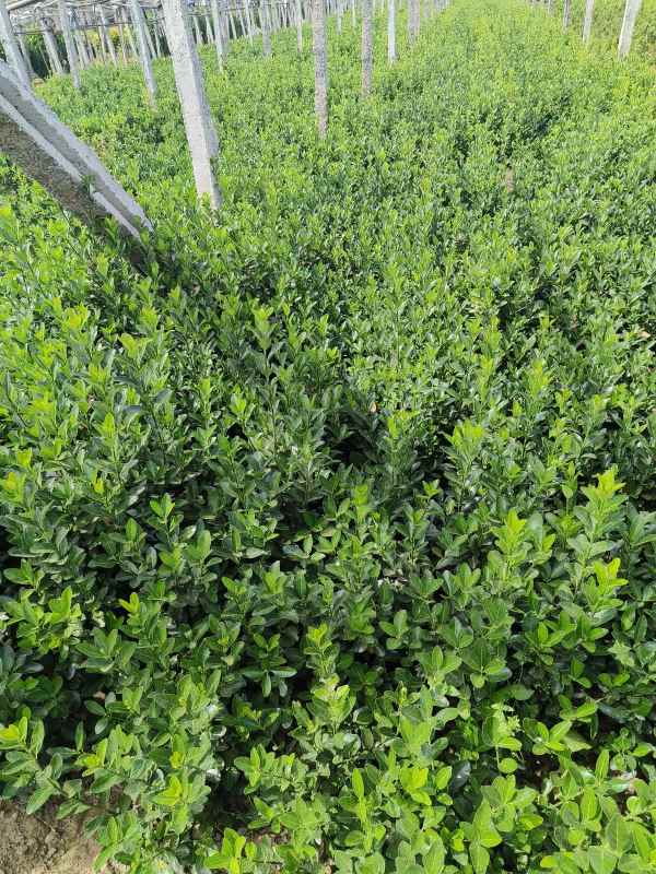 1730701818471920.jpg IMG_20230523_142512.jpg