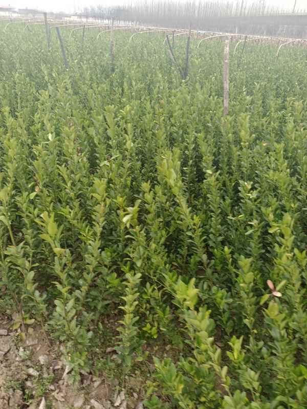 1730703791381093.jpg IMG_20220228_125447.jpg