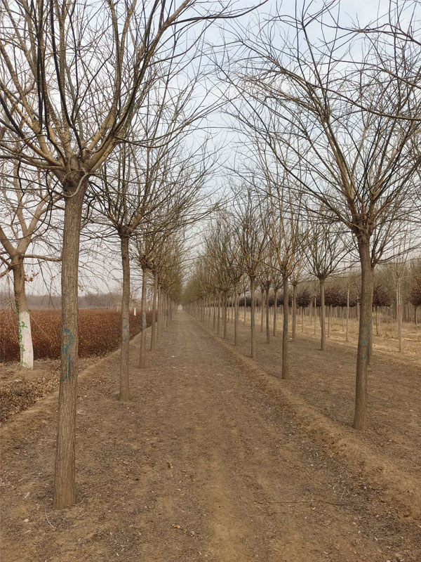 1731052024456452.jpg 29.jpg