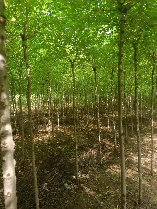 1732417711998000.jpg IMG_20220901_094128.jpg