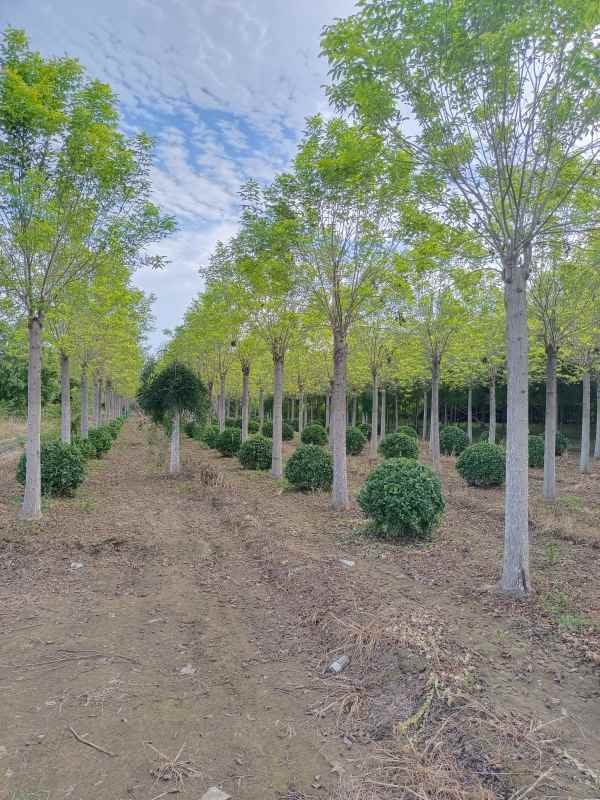 1732938571475698.jpg IMG_20220826_172025.jpg