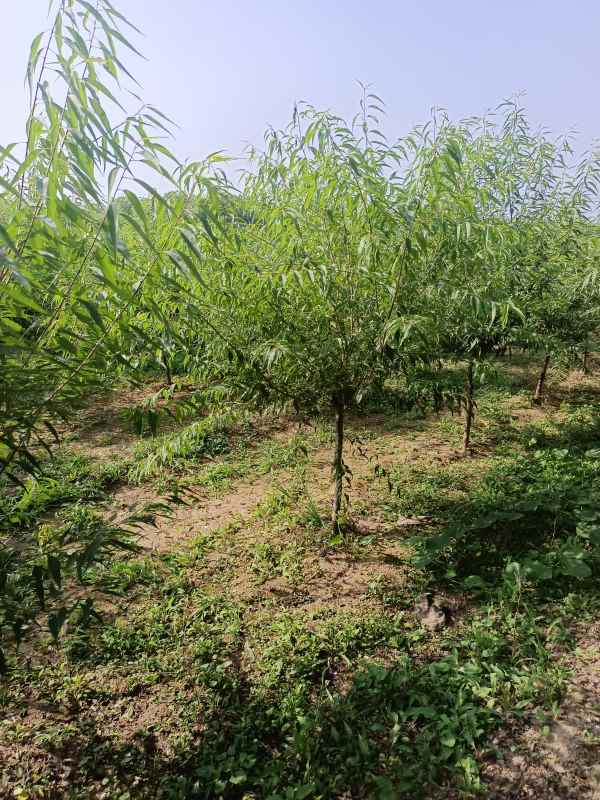 1733810005423277.jpg IMG_20220904_150733.jpg