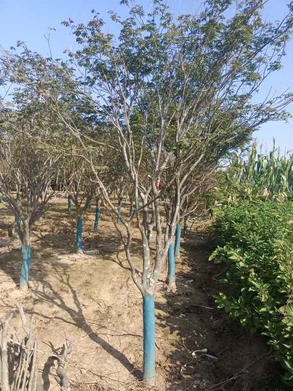 1734243036341107.jpg IMG_20220925_093102.jpg