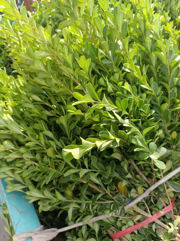 1734421366391317.jpg IMG_20220924_140229.jpg