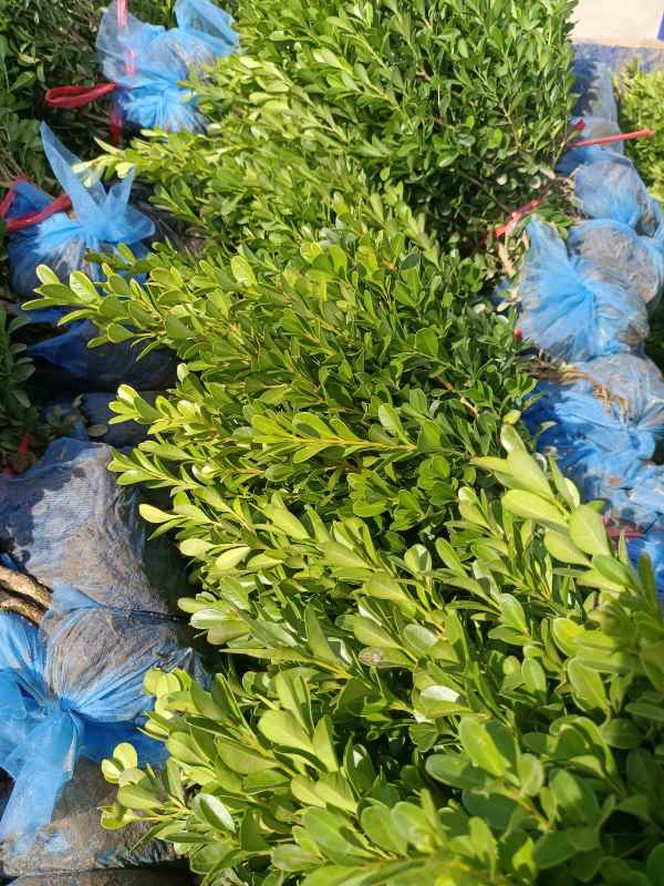 1734421534992076.jpg IMG_20220924_140015.jpg