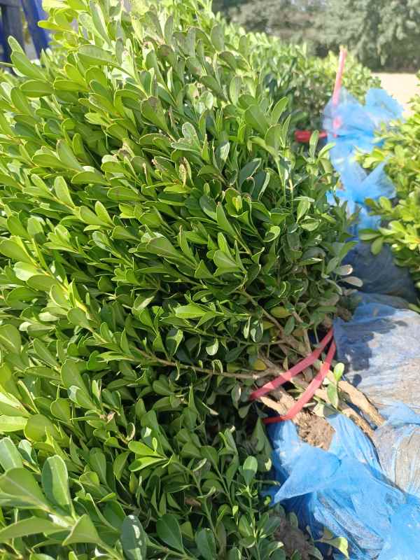 1734421644505037.jpg IMG_20220924_140012.jpg