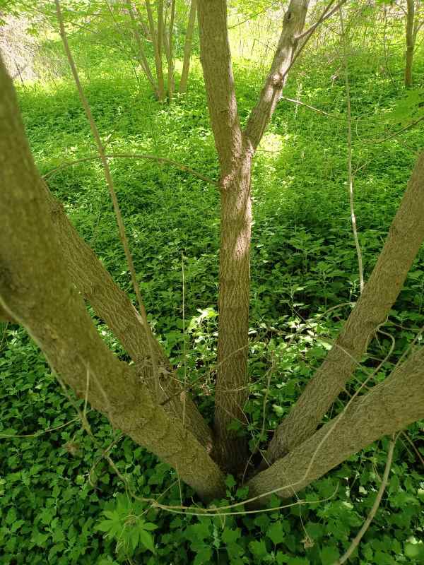 1734489502935882.jpg IMG_20220515_121156.jpg