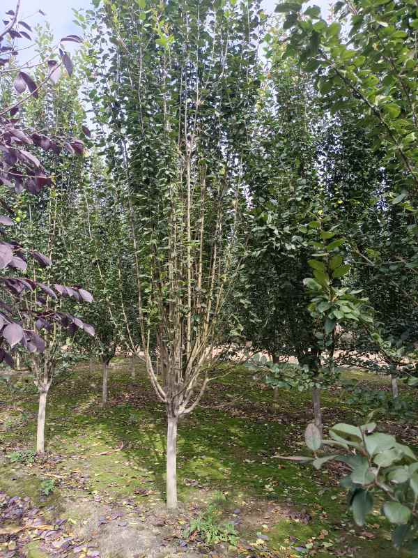 1734760444451740.jpg IMG_20221016_134517.jpg