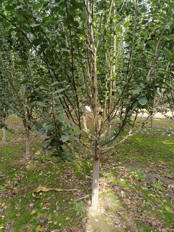 1734760507795625.jpg IMG_20221016_134528.jpg